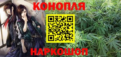 прущие грибы Гулькевичи