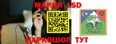МДПВ Гудермес