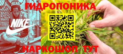 прущие грибы Гулькевичи