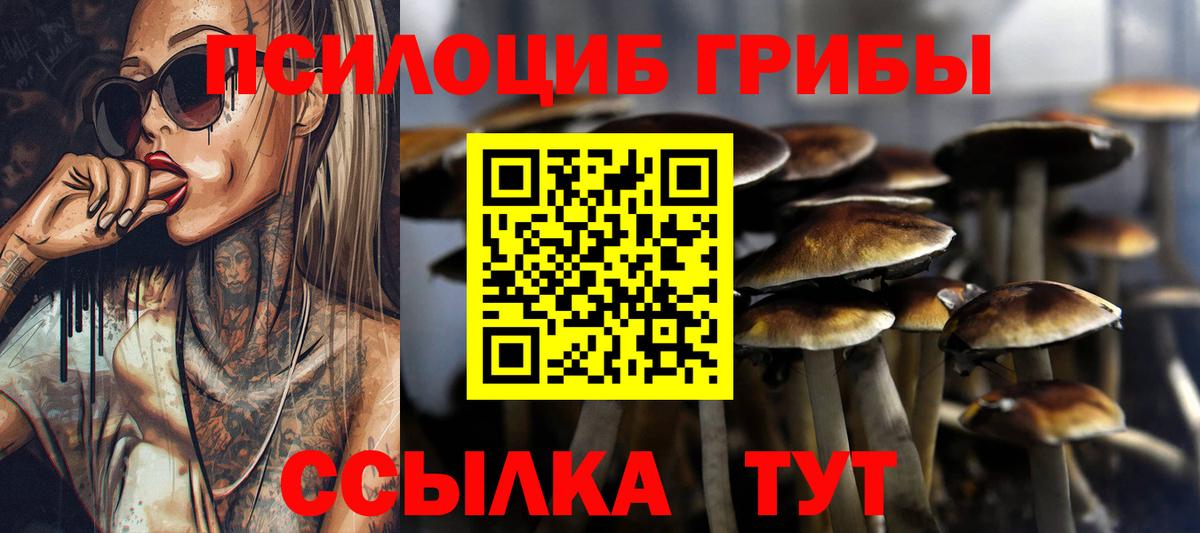 Галлюциногенные грибы мицелий  Вход с VPN  Галлюциногенные грибы Psilocybine cubensis  Саранск 